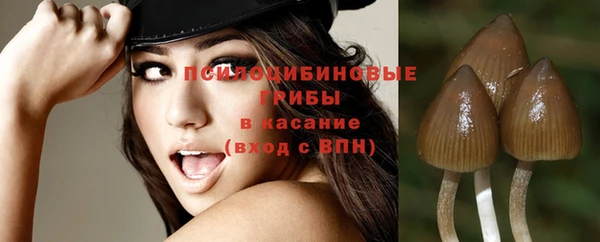 прущая мука Верея