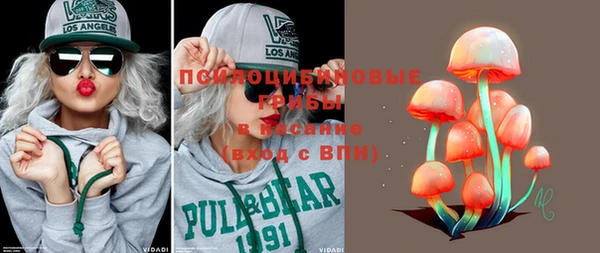 стафф Володарск